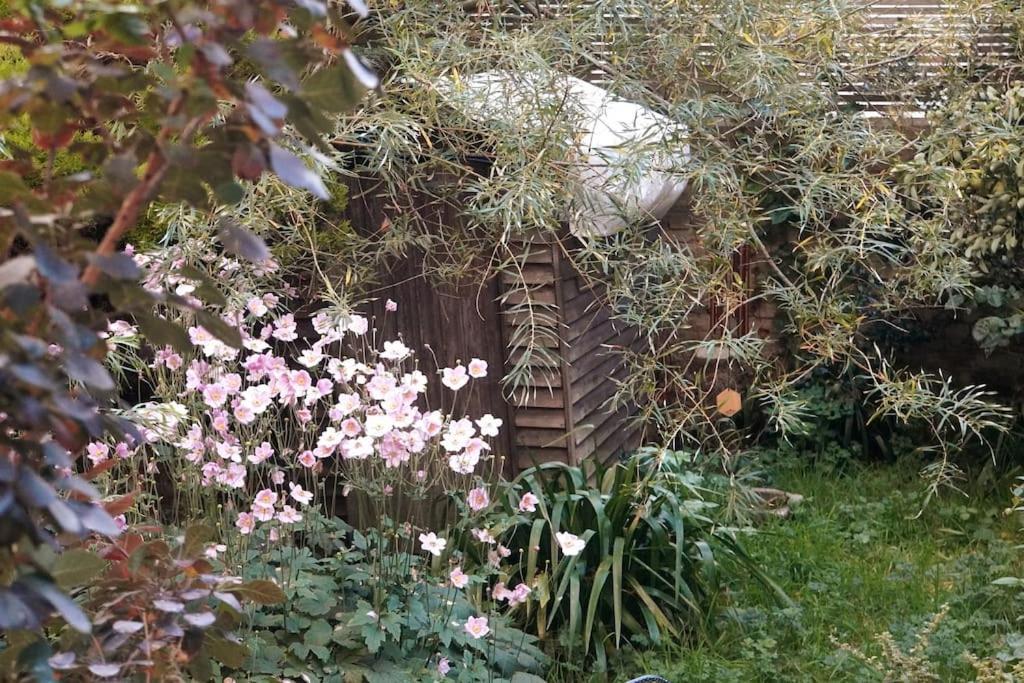 Cosy 1 Bedroom With Garden 2 Min From Seafront Brighton Exterior foto